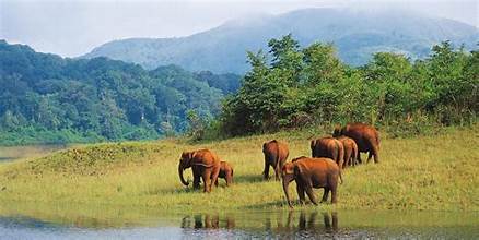 Thekkady